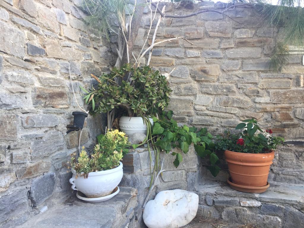 Anna'S Studio Πίσω Λιβάδι Εξωτερικό φωτογραφία